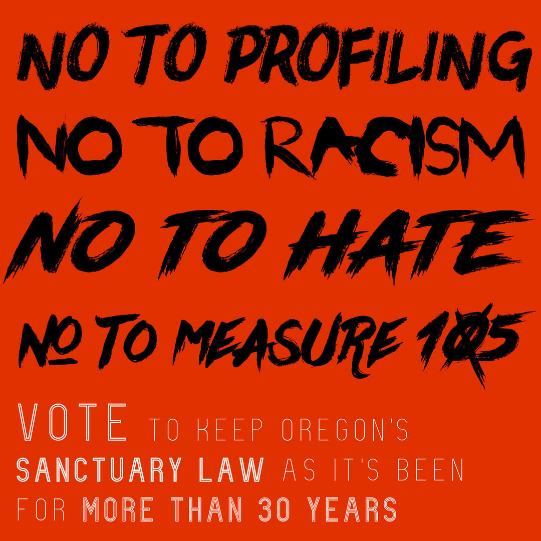 square web graphic: vote no on measure 105 with typography